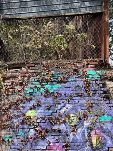 Where street art and nature intertwine.